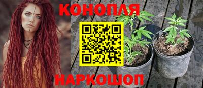 экстази Кингисепп